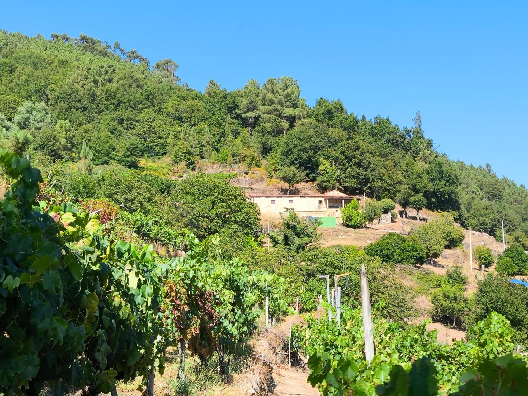 Villa Xiravai-Ribeira Sacra Peares Exterior foto